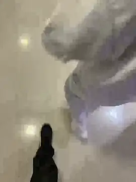 Daliz live cam stream – free VR webcam